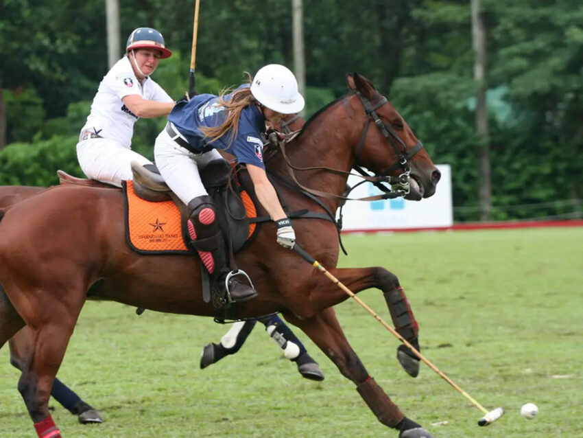 Olahraga Polo